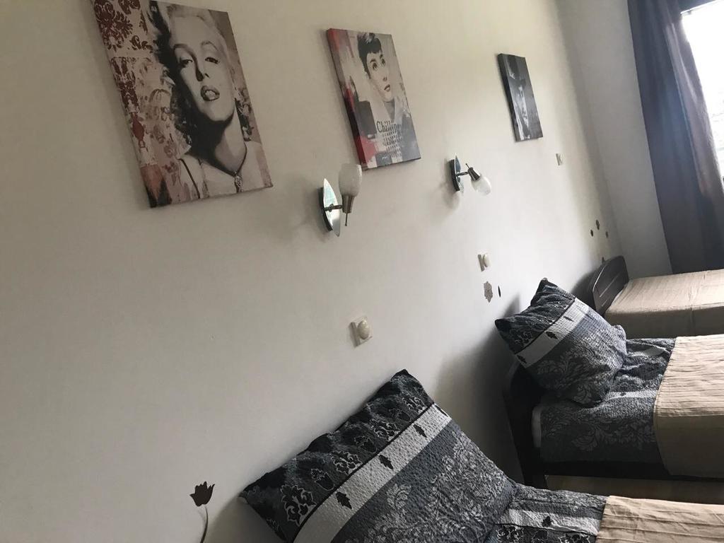 Felix Apartment Zlatibor Bagian luar foto