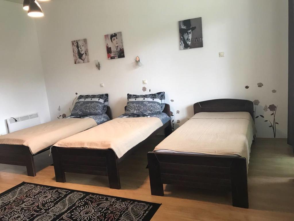 Felix Apartment Zlatibor Bagian luar foto