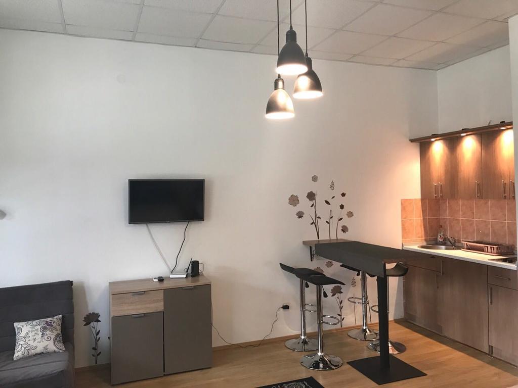 Felix Apartment Zlatibor Bagian luar foto