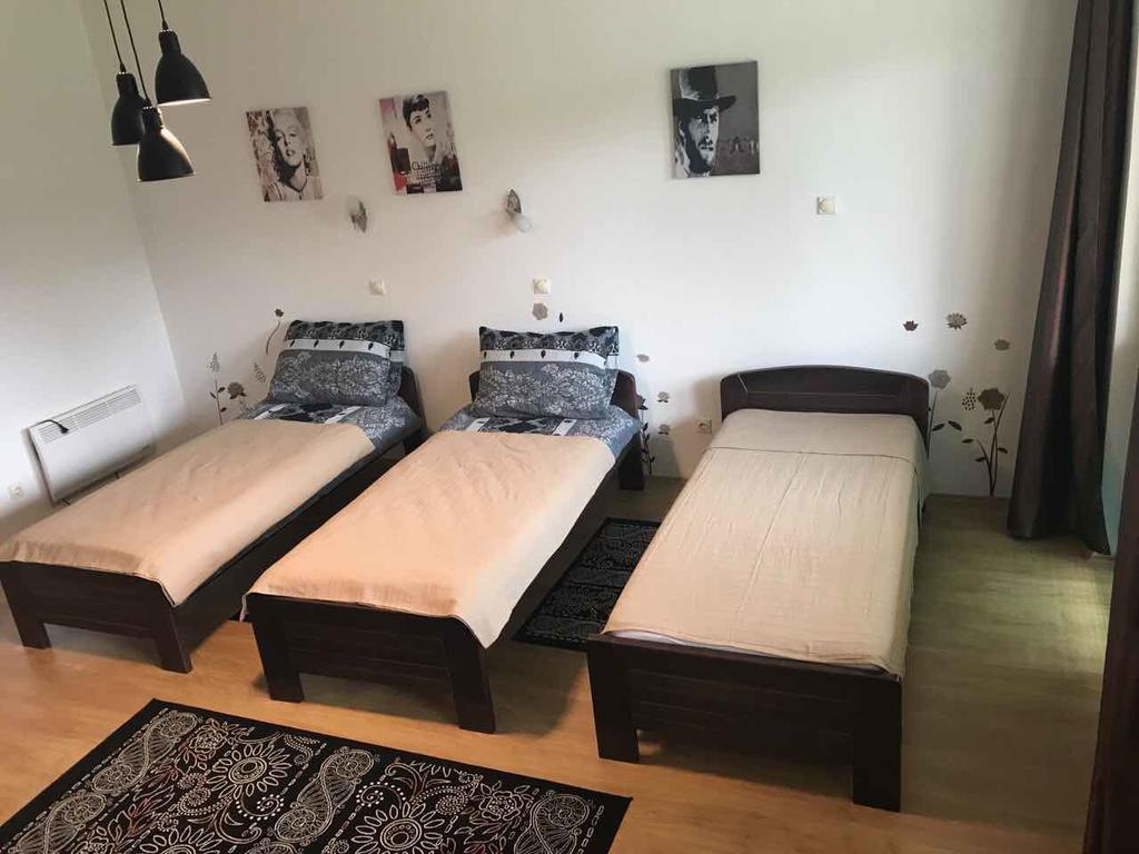 Felix Apartment Zlatibor Bagian luar foto